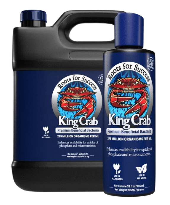 KING CRAB PREMIUM BENEFICIAL BACTERIA 946 ML