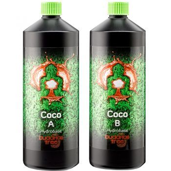 BUDDHAS TREE COCO A&B 1 LITRE