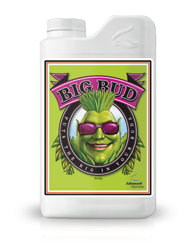 BIG BUD LIQUID