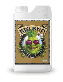 BIG BUD LIQUID COCO 1L