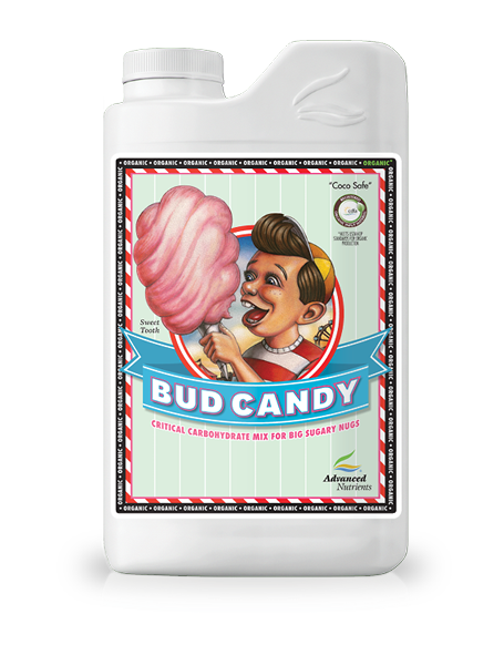 BUD CANDY