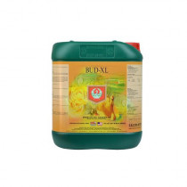 HOUSE & GARDEN BUD XL