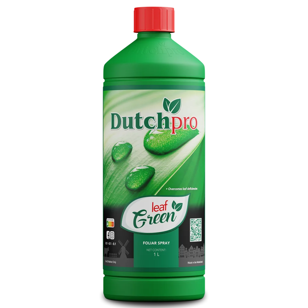 DUTCHPRO LEAF GREEN