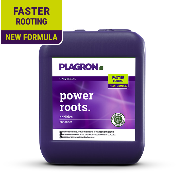 POWER ROOTS