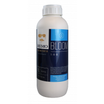 REMO BLOOM