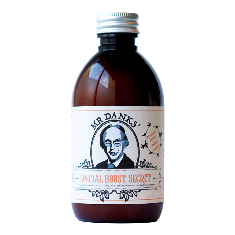 MR DANKS SPECIAL BOOST SECRET 250ML